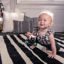 Baby Einstein Curois Car Zen Multi