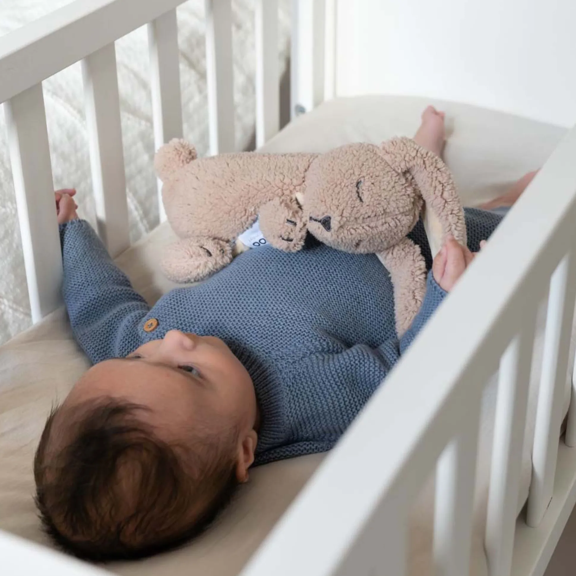 Doomoo snoogy bunny biscuit bruin