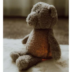 Flow Amersterdam Nachtlampje Lou grijs