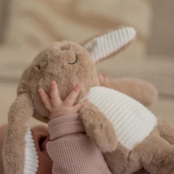 Flow Amsterdam hartslagknuffel Milo bruin