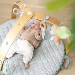 Ingenuity Cozy Spot babygym Lightgrey