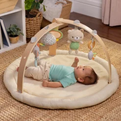 Ingenuity Every Season activity gym Beigebrown