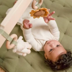 Little Dutch babygym Little Farm Multi