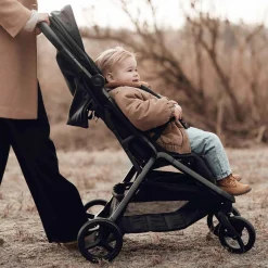 Little Dutch Buggy Grey