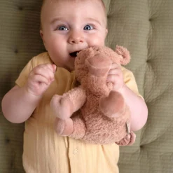 Little Dutch knuffel varken 17cm Pink