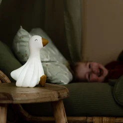 Little Dutch Nachtlampje Gans multi