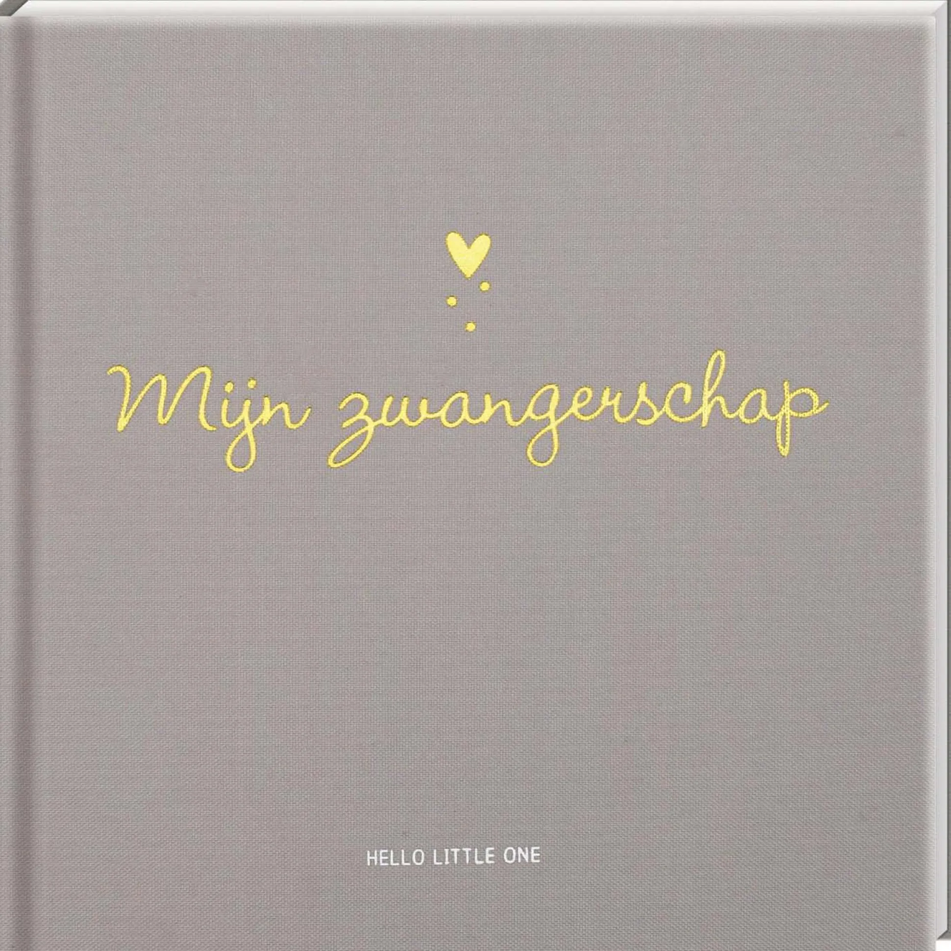 Mijn Zwangerschap Lightgrey