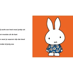 Nijntjes voorleesfeest Multi