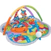 Playgro Clip Clop Activity Gym with Music Multi