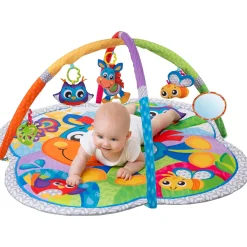 Playgro Clip Clop Activity Gym with Music Multi