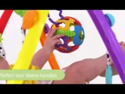 Playgro Fold & Go gym Multi