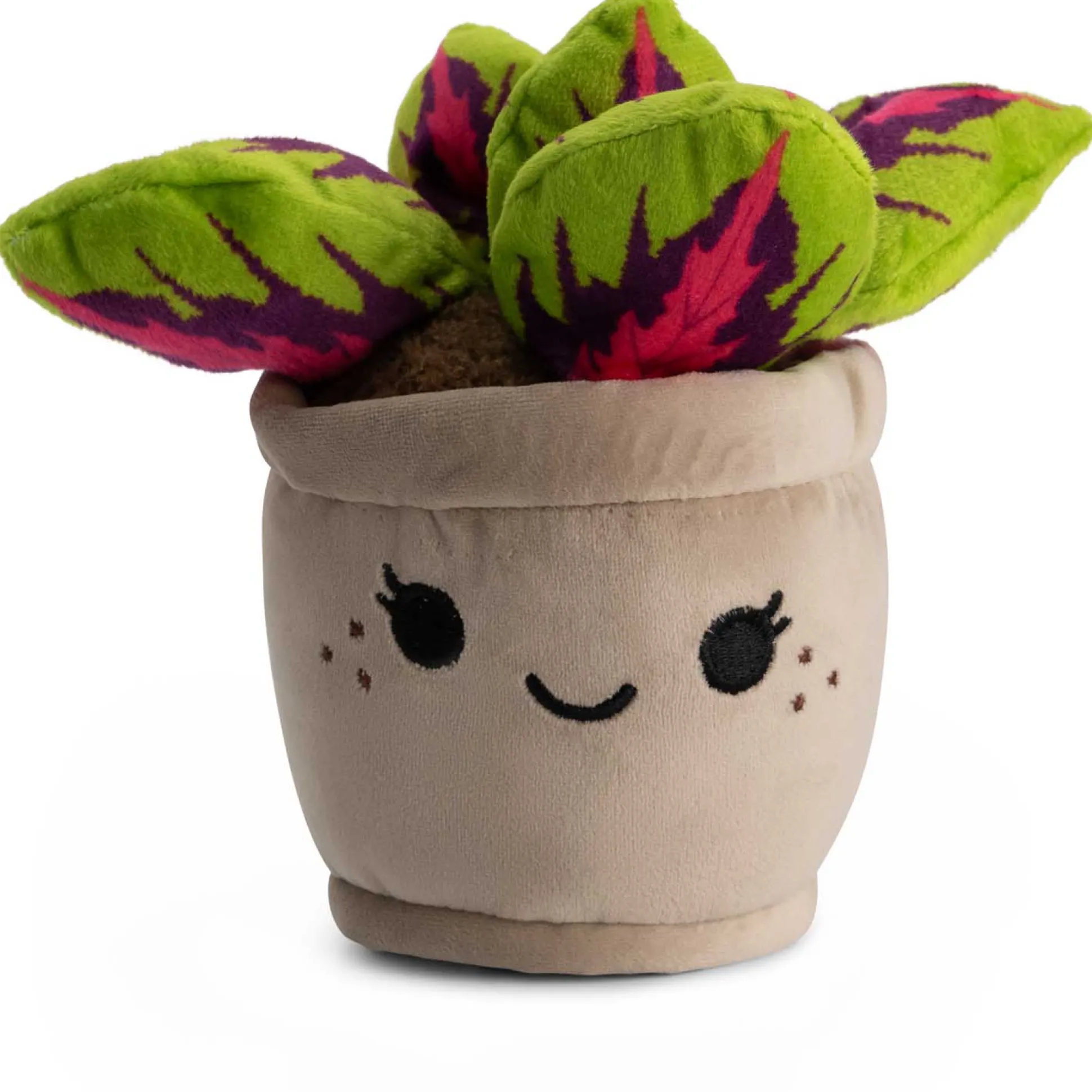 Pluche Gekleurde Plant groen