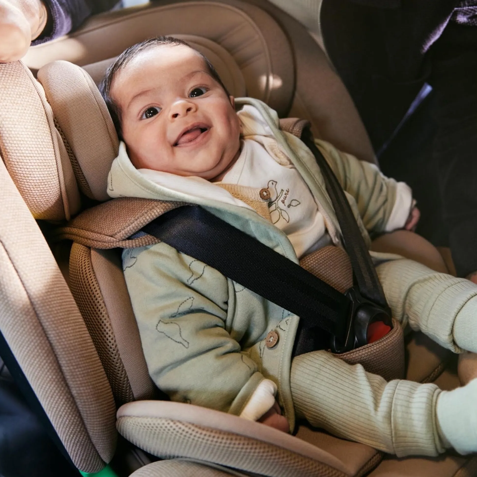 Prénatal autostoel Sam Taupebrown