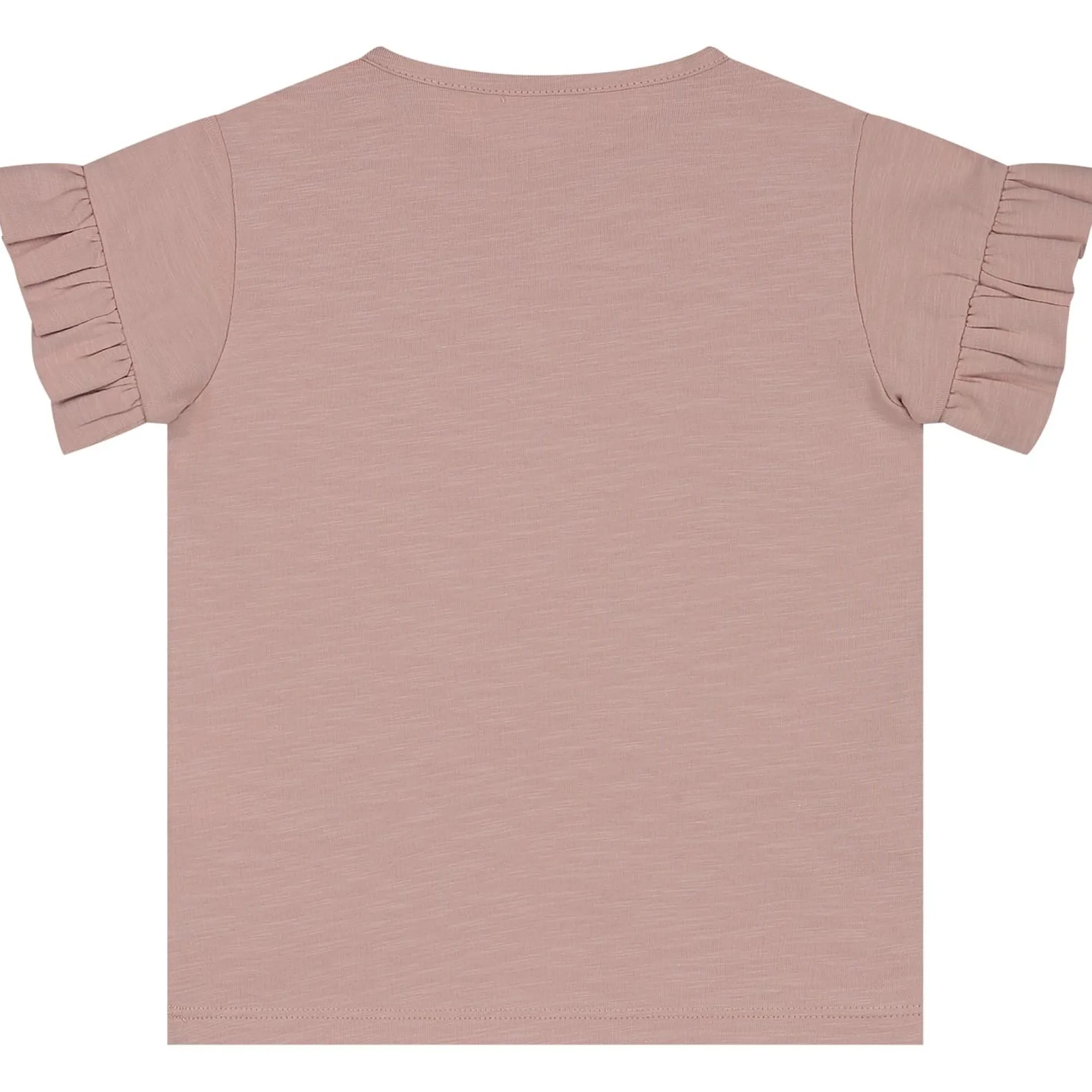 Prénatal baby T-shirts 2 stuks korte mouwen meerkleurig multi