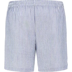 Prénatal heren zwemshort streep  strepen blauw