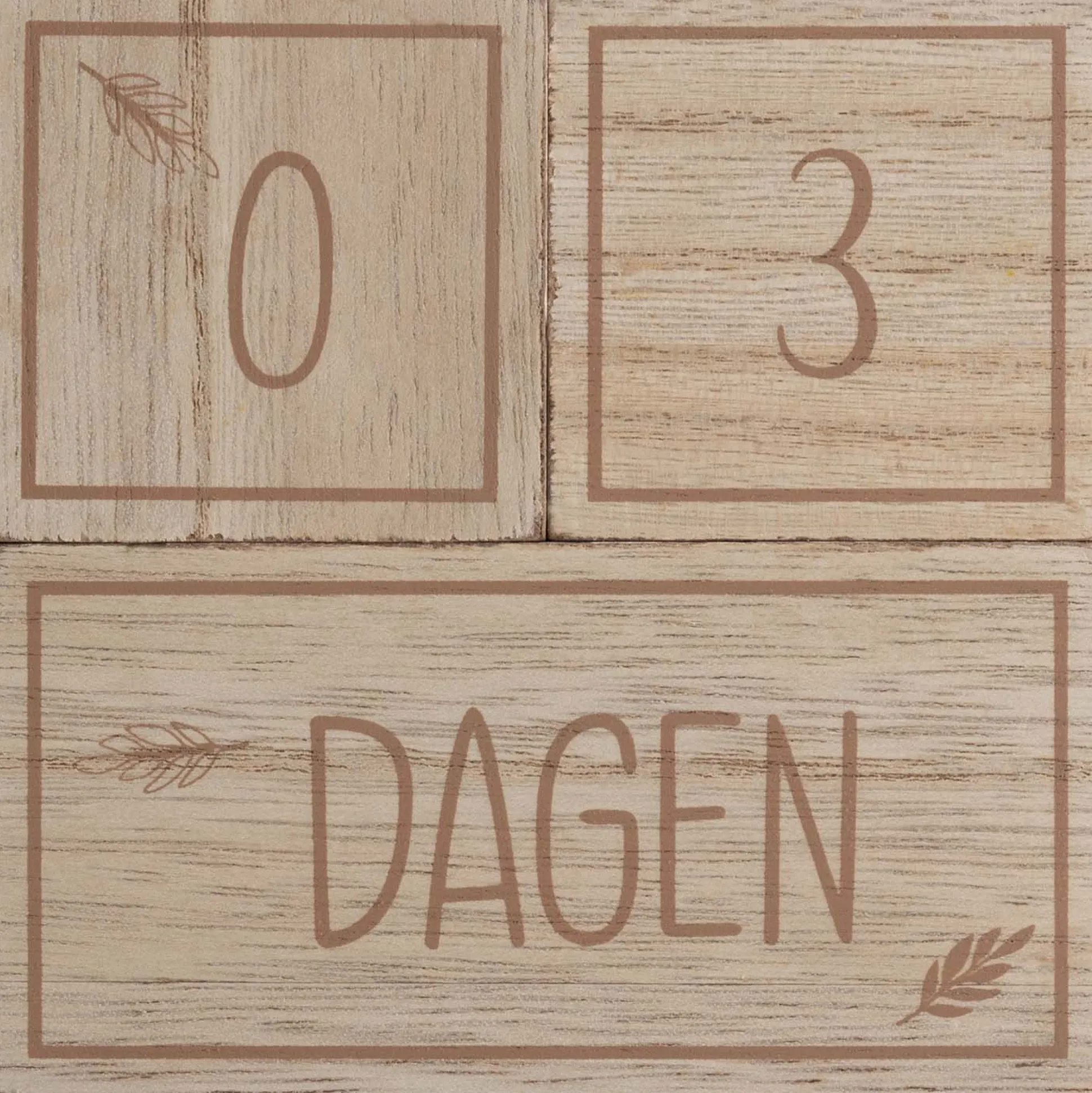 Prénatal milestone blokken hout Brown