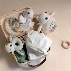 Prénatal muziekdoosje Kleine Vriendjes Ivory White