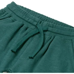 Prénatal peuter broek  effen groen