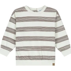 Prénatal peuter sweater lange mouwen strepen bruin