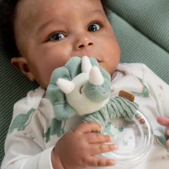 Prénatal ringrammelaar dino Midgreen