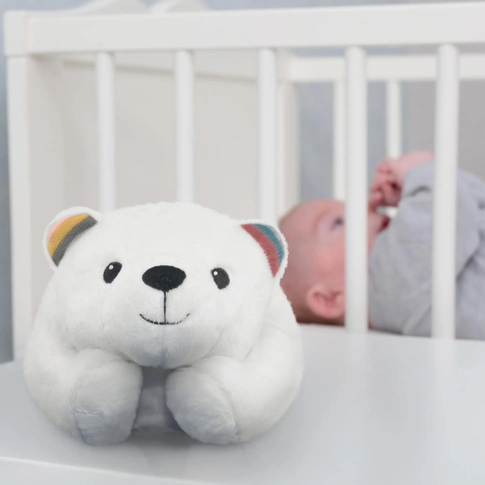 Zazu projector Polly de ijsbeer wit