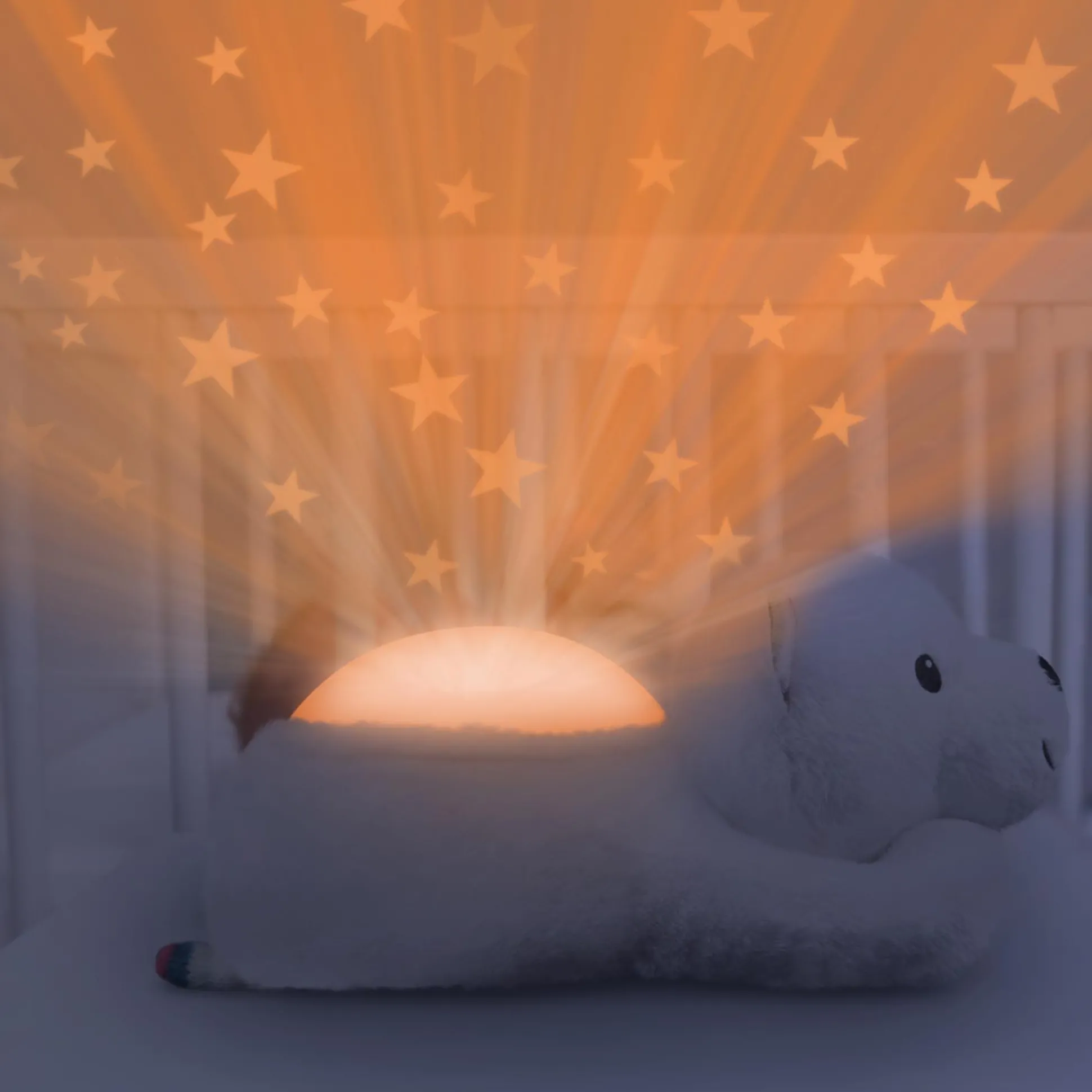 Zazu projector Polly de ijsbeer wit