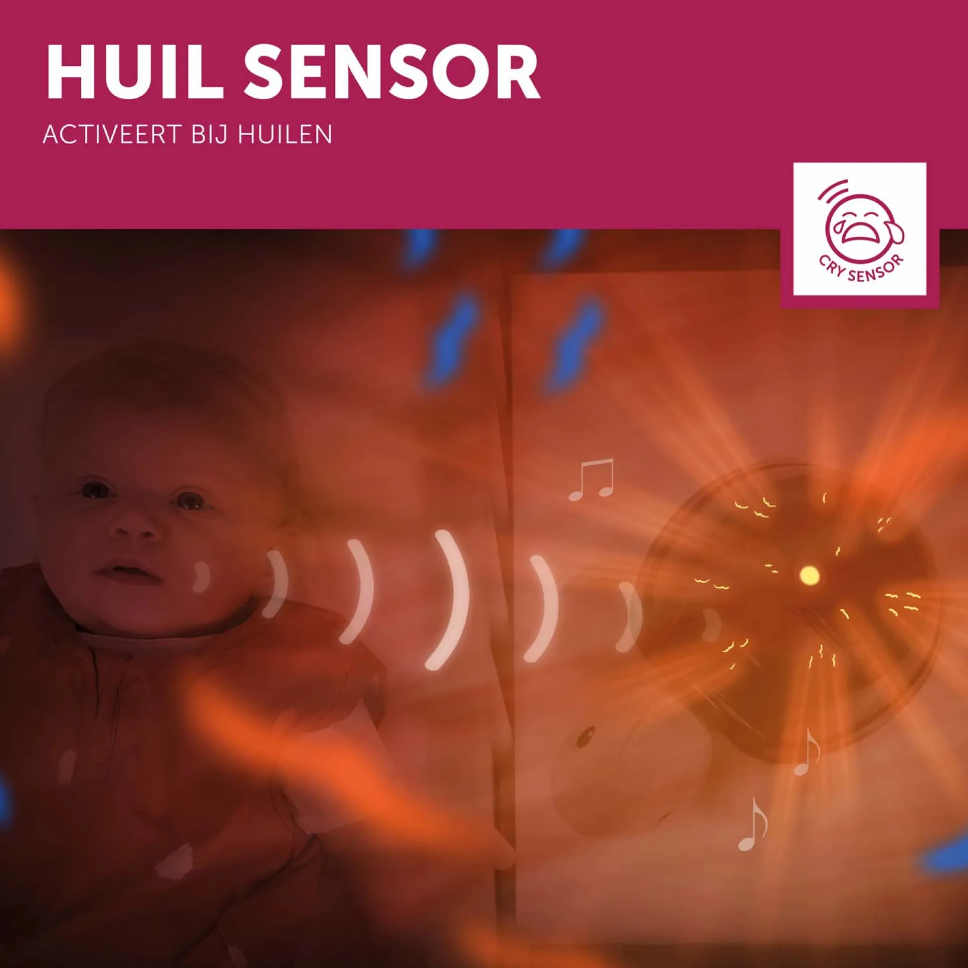 Zazu projector tim de schildpad wit