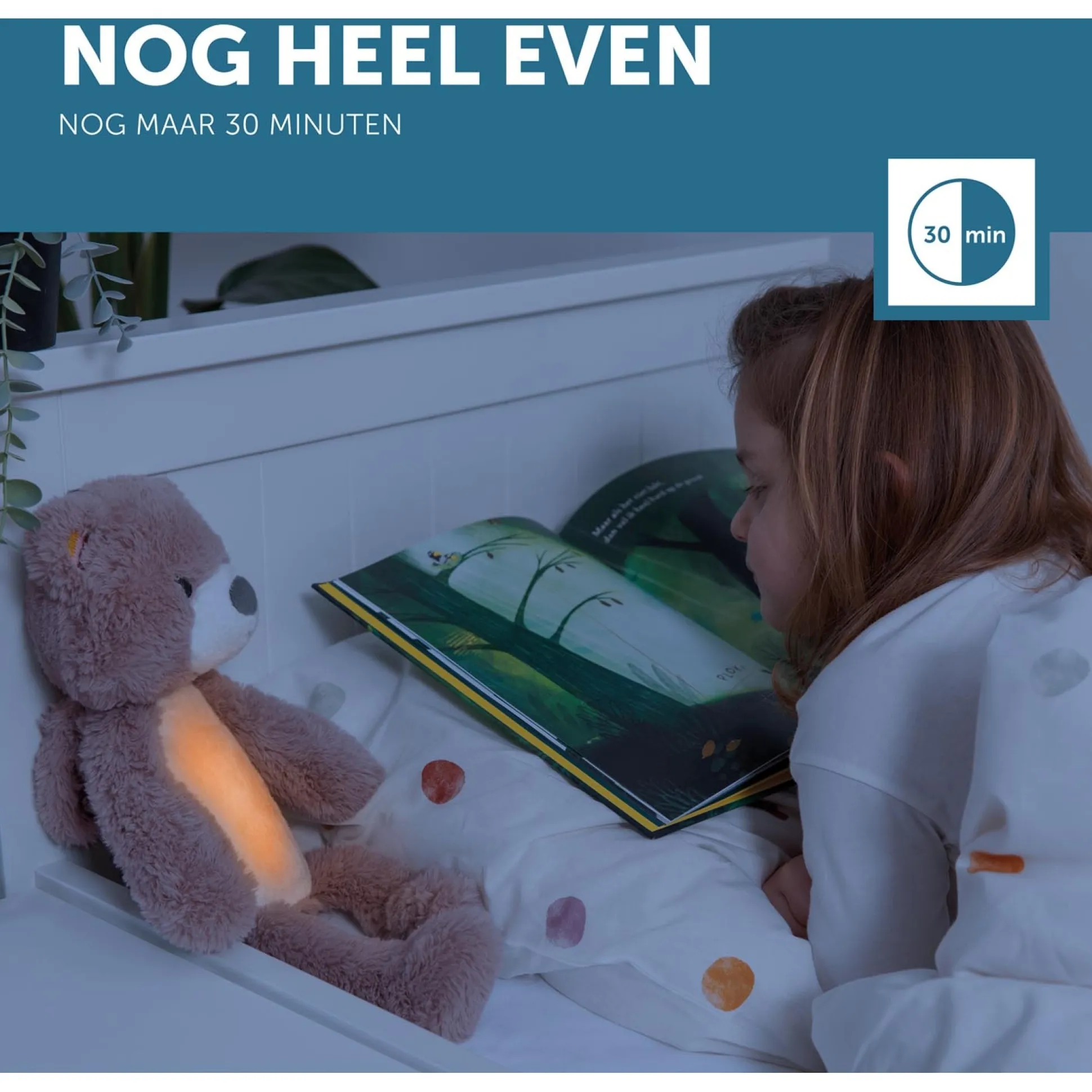 Zazu slaaptrainer Brody de beer roze