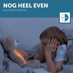 Zazu slaaptrainer Brody de beer taupe