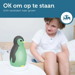 Zazu slaaptrainer nachtlamp met muziek Pam grijs grijs